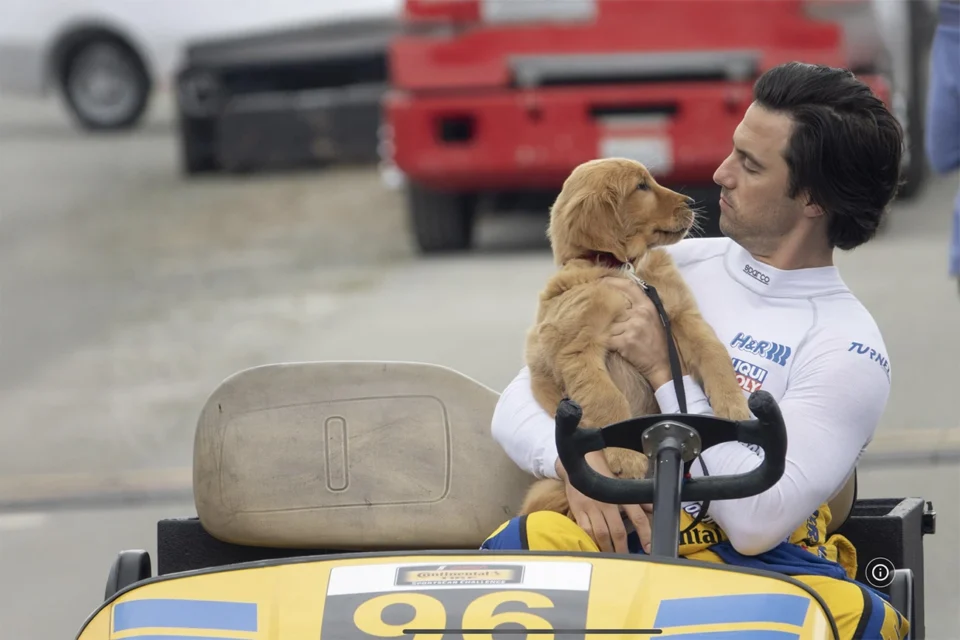 5 filmes recém-chegados, na Netflix, para relaxar a cabeça e alegrar a alma