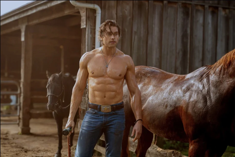 4 comédias que acabaram de chegar na Netflix