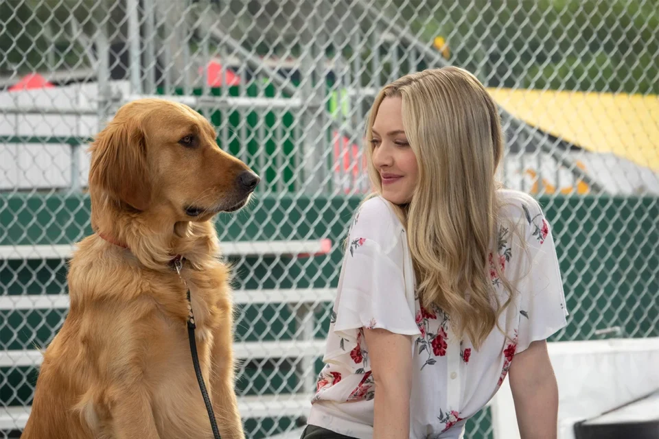 4 filmes inspiradores na Netflix para motivar você