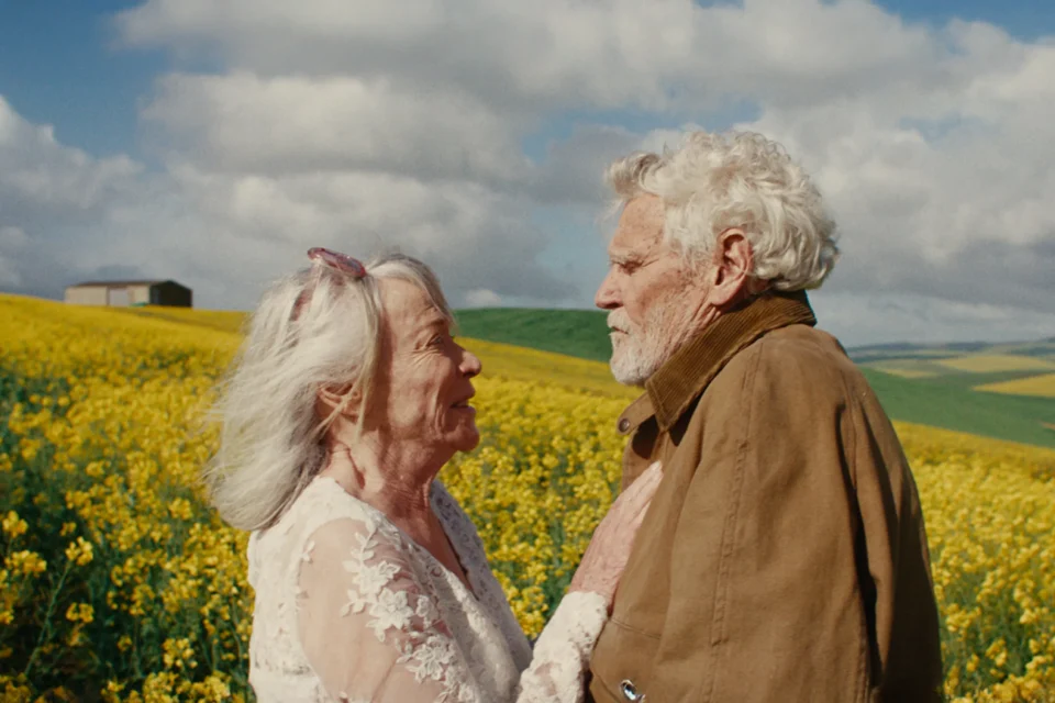 O filme perfeito para quem já amou de verdade — e sabe que o amor também pode ser um tipo de loucura. No Prime Video