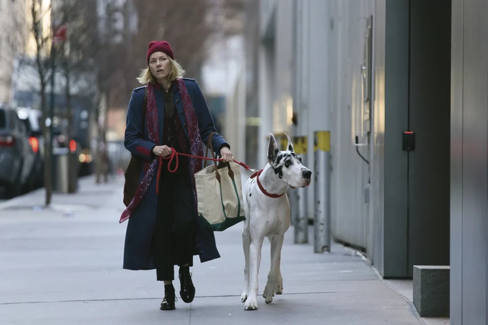 Afetuoso e humano, o filme com Bill Murray e Naomi Watts que ensina a continuar vivendo — no Prime Video