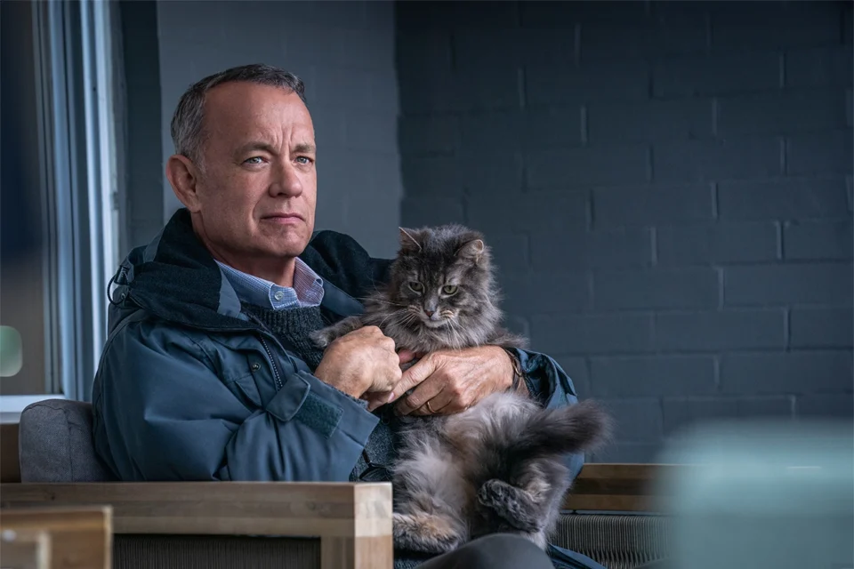 Adaptado de best-seller nº 1 do New York Times, filme com Tom Hanks é uma joia subestimada na Netflix