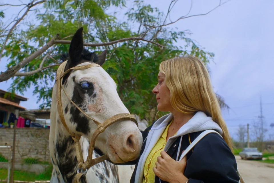 Edward Said deve estar se revirando no próprio túmulo com sátira ruim sobre colonialismo na Mubi
