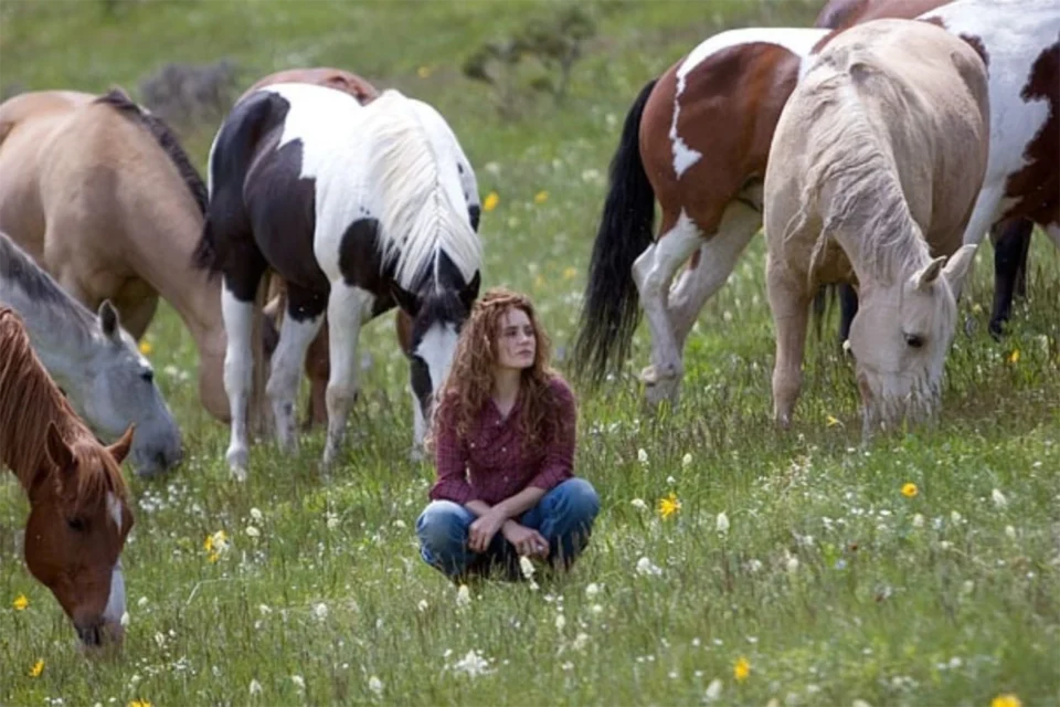 Aventura inspiradora que vai melhorar seu dia na Netflix