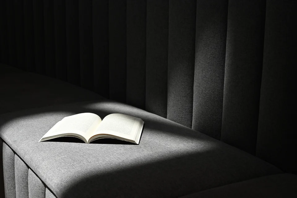 Leitores que mentem sobre livros que nunca leram — e vivem disso