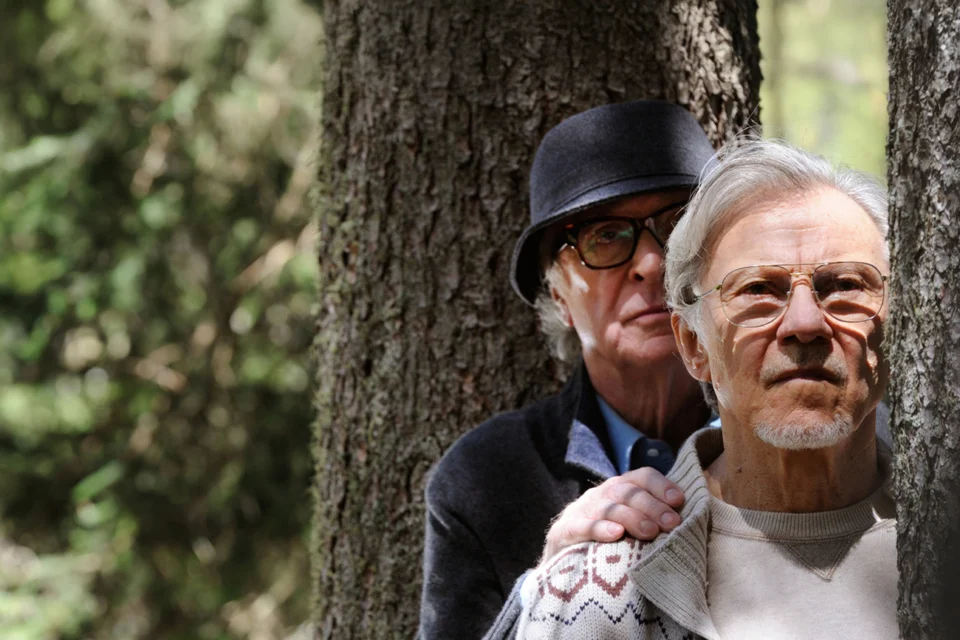 Um dos filmes mais bonitos dos últimos anos está no Prime Video e quase ninguém percebeu