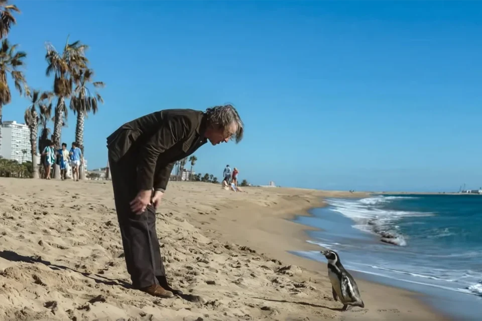 Uma lição de vida inesquecível que vai te abraçar como um cobertor quentinho no inverno, no Prime Video