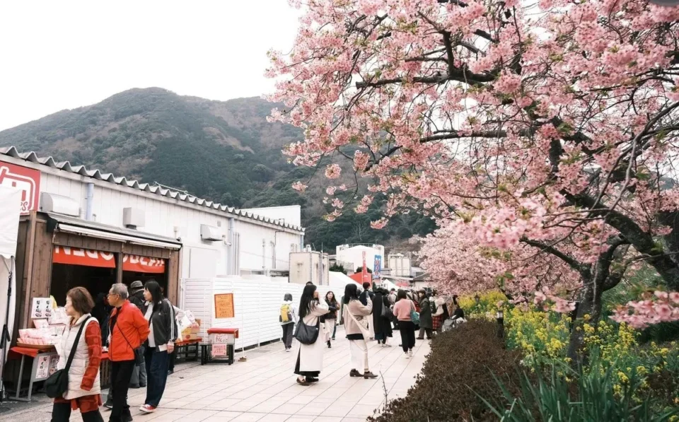 Japão triplicará taxa de saída para turistas internacionais a partir de 2027
