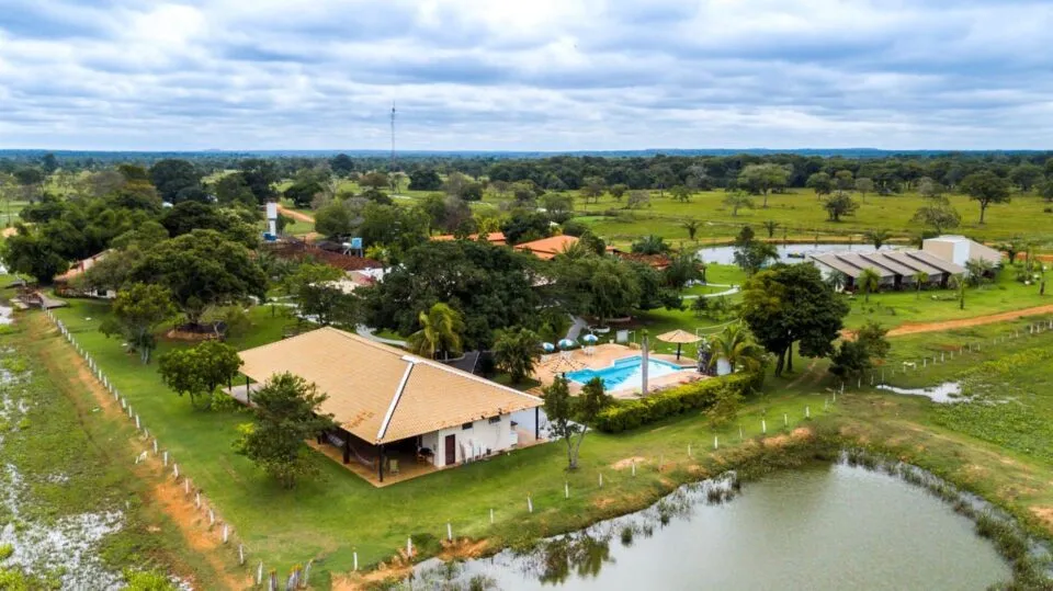 Ecoturismo ajuda a salvar onças-pintadas no coração do Pantanal