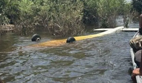 FAB abate aeronave suspeita vinda do Peru