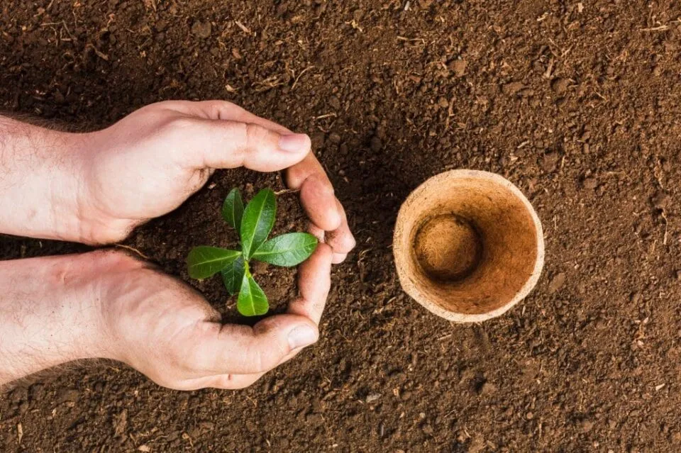 Instituto Aupaba abre inscrições para voluntariado em turismo