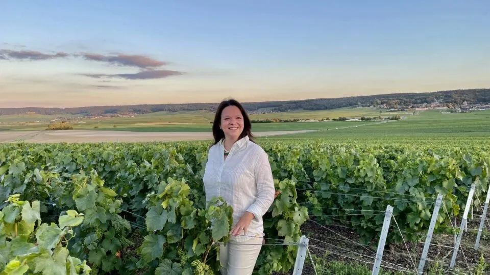 Chardonnay Rosa é oficializada na AOC Champagne