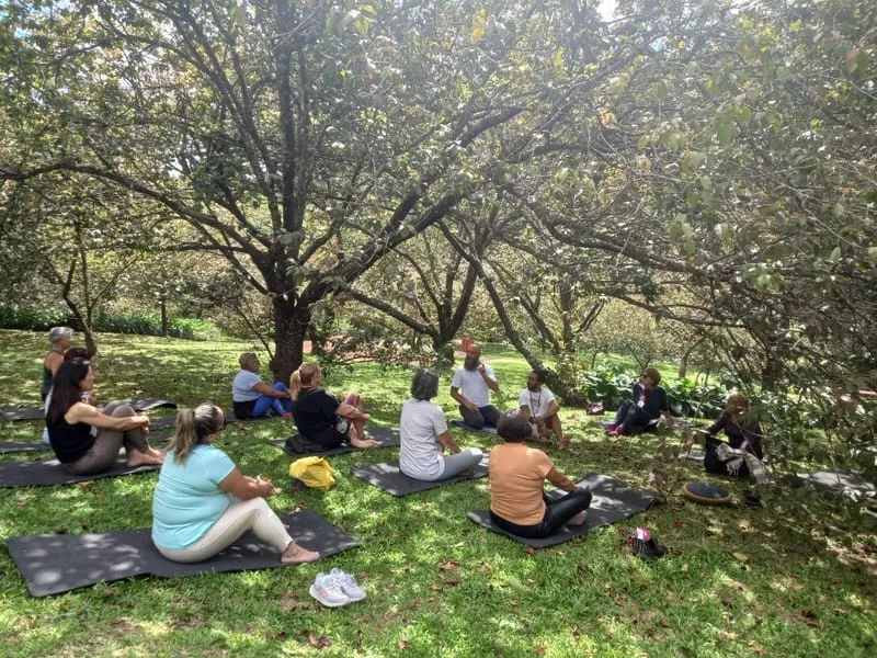 Parque da Cerejeira terá aulas de yoga
