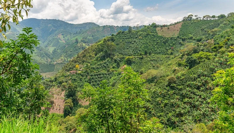 Turismo Wellness cresce globalmente e transforma viagens em experiências de autocuidado – M&E