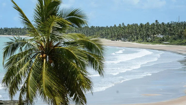 refúgio natural em Alagoas com praias lindas