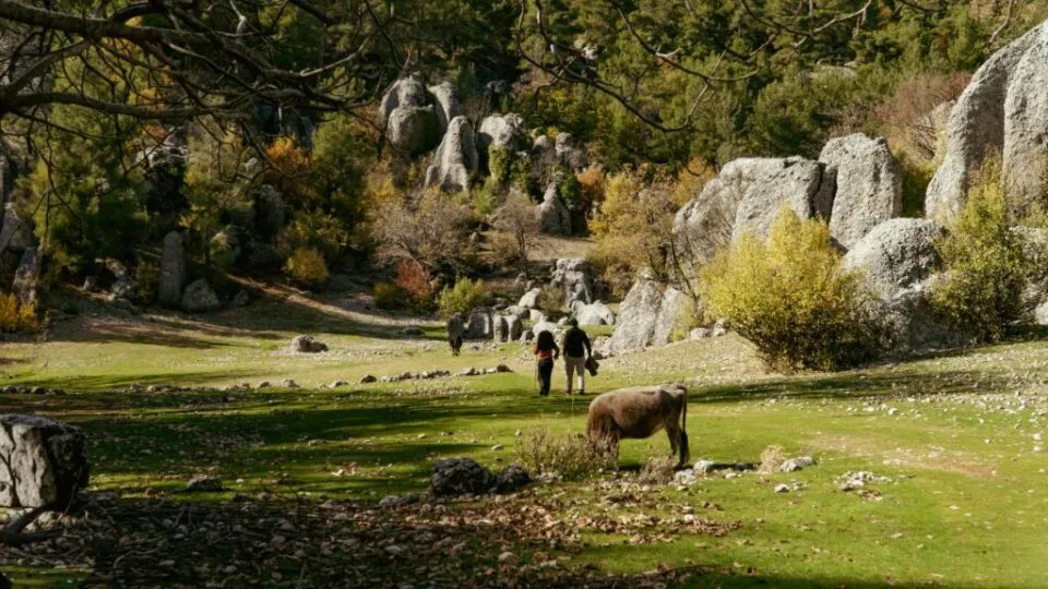 ‘Soft reset trip’: a tendência que vai redefinir o turismo de bem-estar em 2026 – M&E