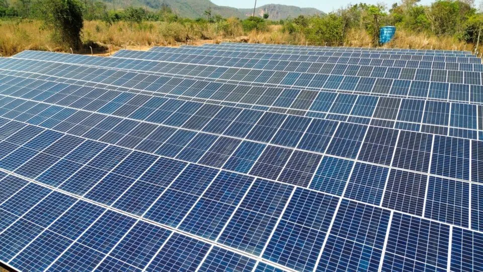 Aviva conquista certificação de Empresa Carbono Neutro com avanço em metas ESG