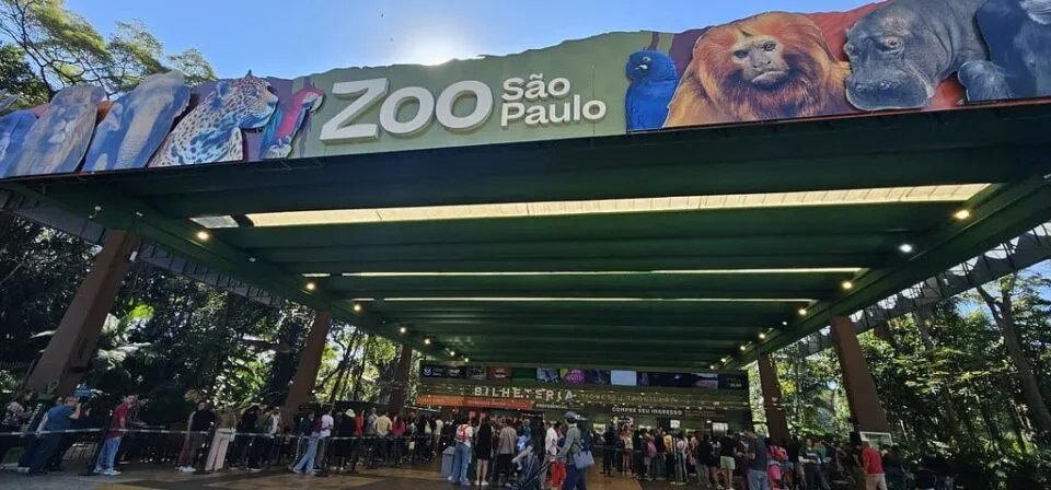 Black Friday do Zoo SP oferece ingressos com grandes descontos