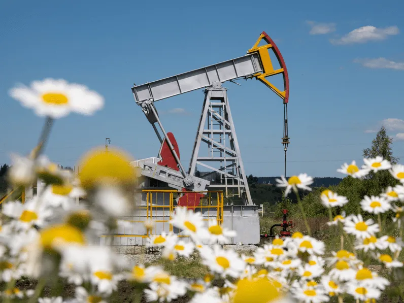 Petróleo fecha em queda com retorno da aversão ao risco em Wall Street