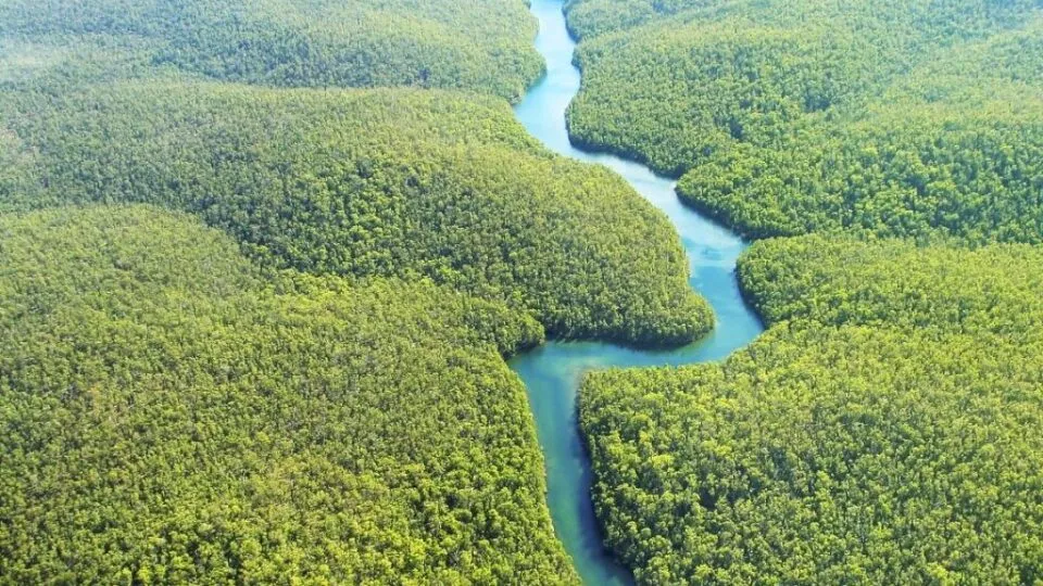 Turismo na COP30 destaca Amazônia como modelo global para ação climática no setor – M&E