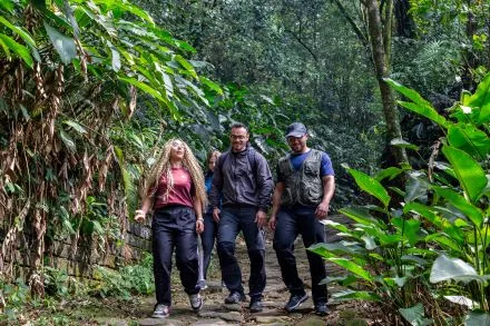 Um dia no Caminhos do Mar: guia prático de visita ao parque histórico que liga o planalto ao litoral – M&E