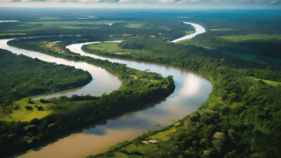 o crédito que move a transição ecológica brasileira
