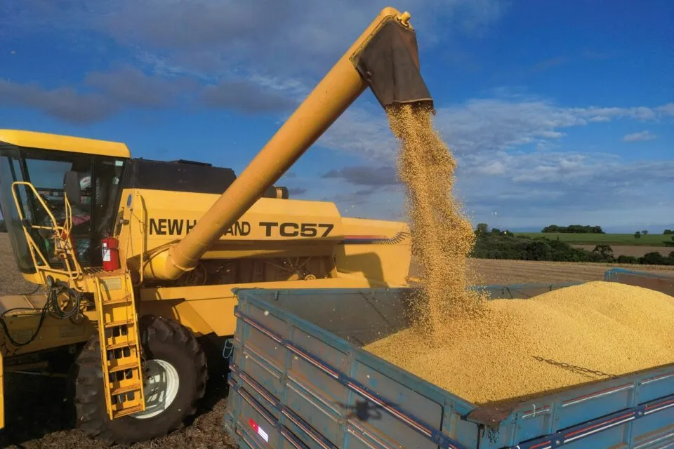 o que está acontecendo com Boa Safra? Ações desabam 15% após resultados