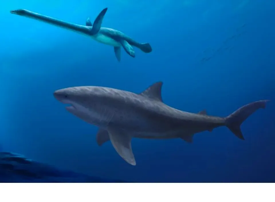 Fósseis de tubarão gigante que viveu há 115 milhões de anos são encontrados