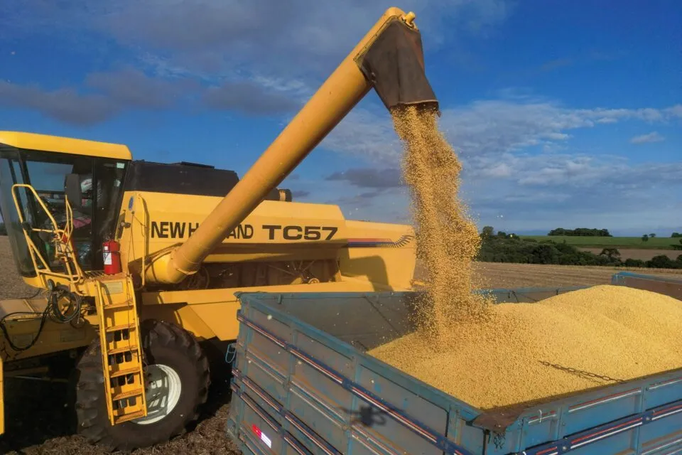 IGP-M fecha 2025 com queda acumulada de 1,05%, puxada por preços ao produtor