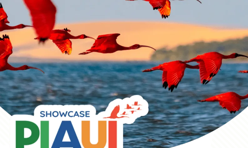 Piauí lança campanha de incentivo de vendas voltada a agentes de viagens em Portugal