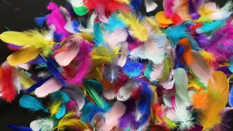 Por que no existem penas falsas?