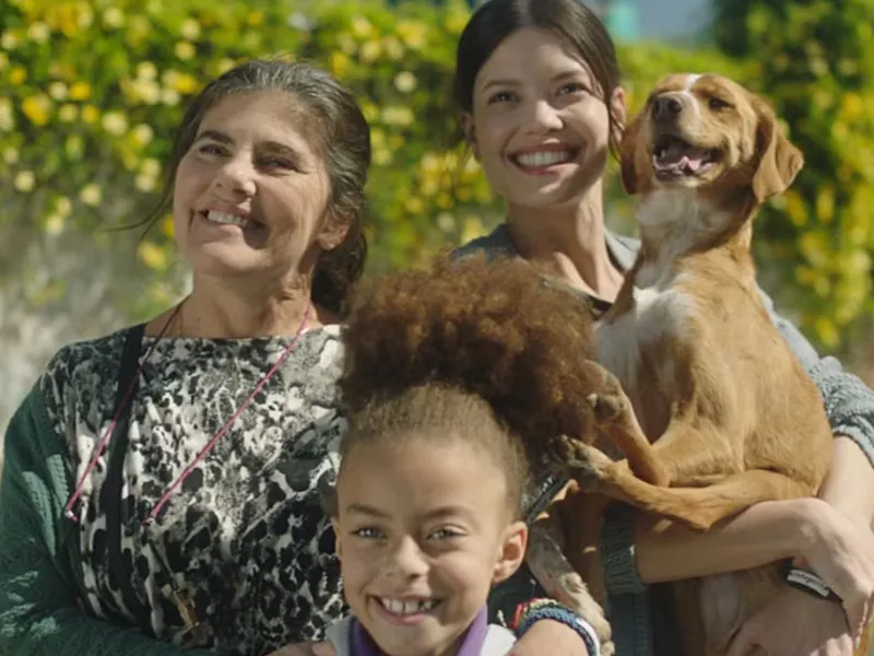 Cinema BBB26: veja quais filmes vão ser exibidos na casa a partir desta segunda (19)