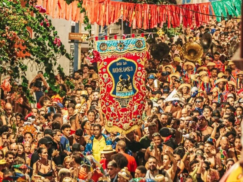 Em turnê inédita, Boi da Macuca leva seu cortejo de Carnaval ao Rio de Janeiro e São Paulo