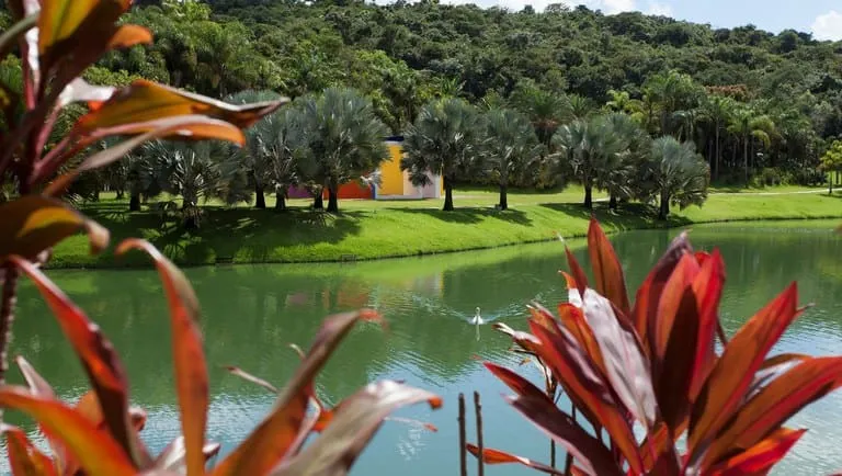 Inhotim entra em ranking do The New York Times entre melhores destinos do mundo para 2026
