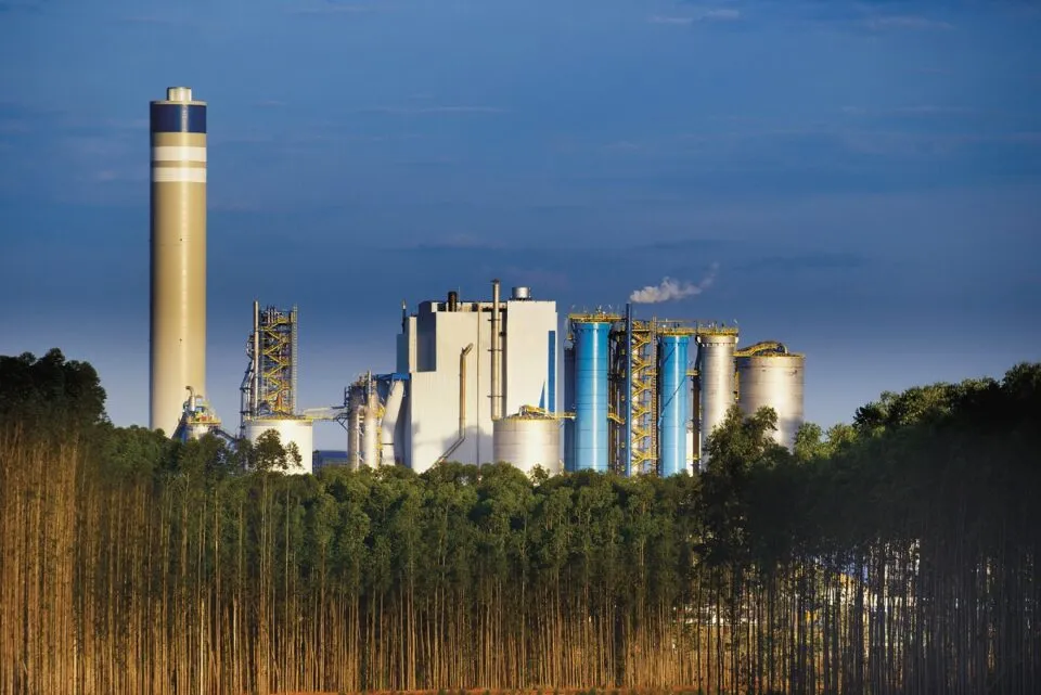 Morgan Stanley vê Suzano como campeã de baixo custo no setor e reitera compra