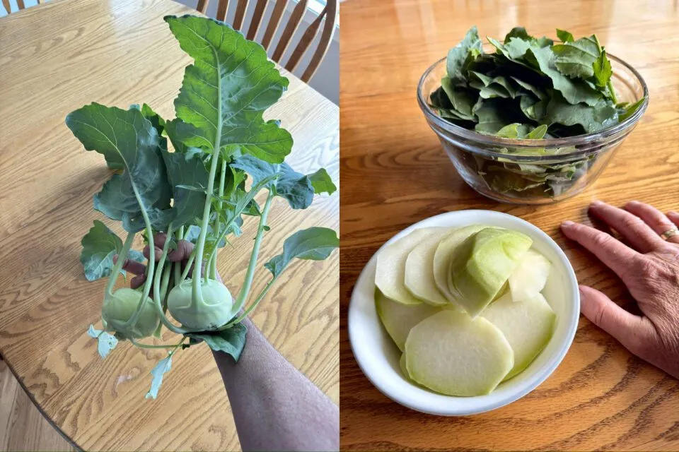 Por que a couve um dos alimentos mais diversificados do mundo?