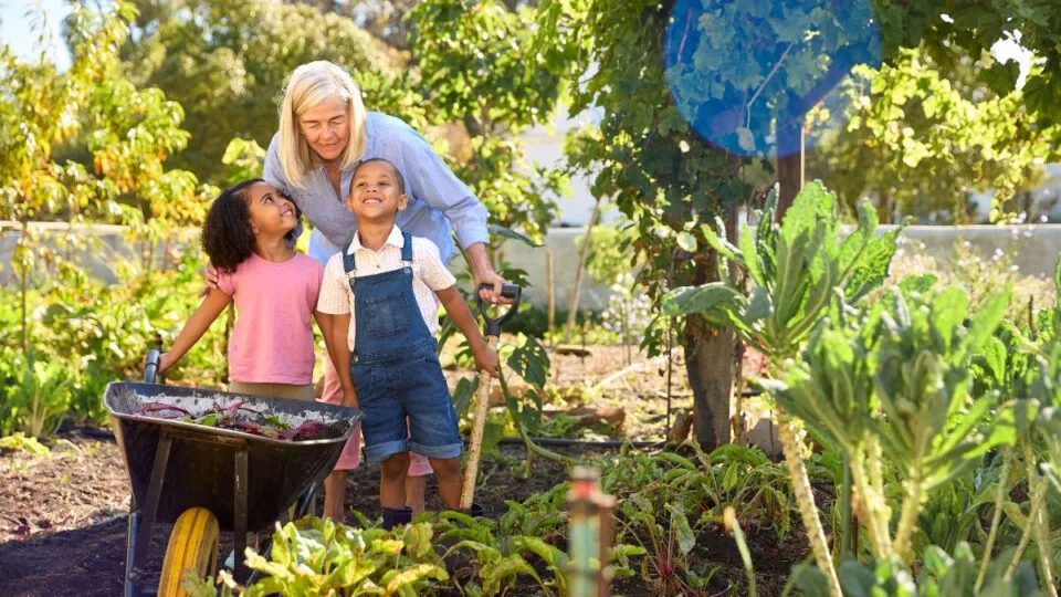 Por que os moradores de uma cidadezinha holandesa devem ter uma horta em casa?