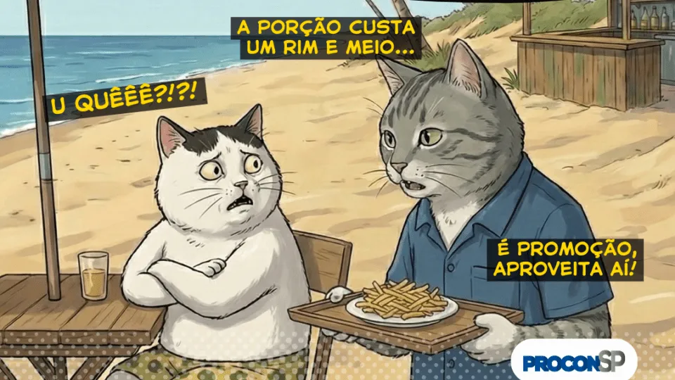 Procon-SP reage a abusos nas praias e lança guia para turistas; veja completo