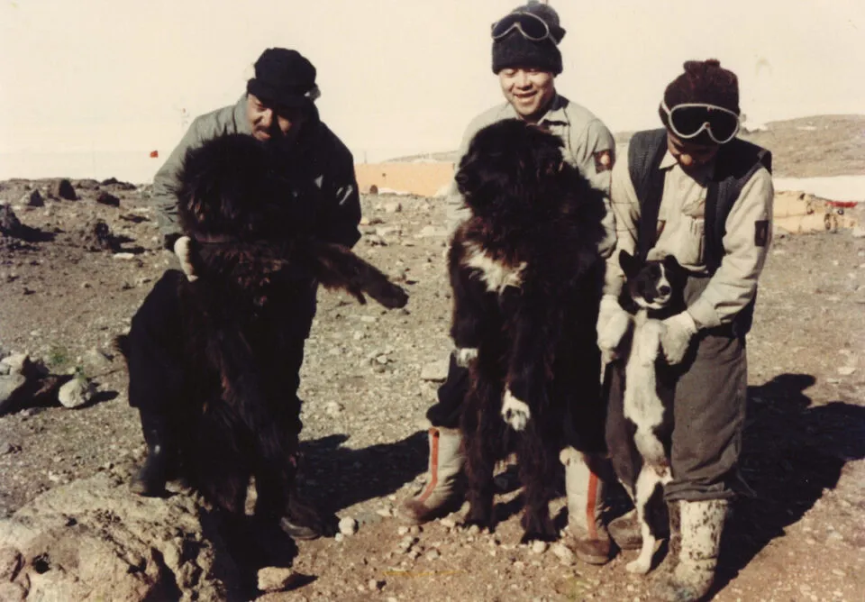 A inacreditvel histria de sobrevivncia polar de Jiro e Taro