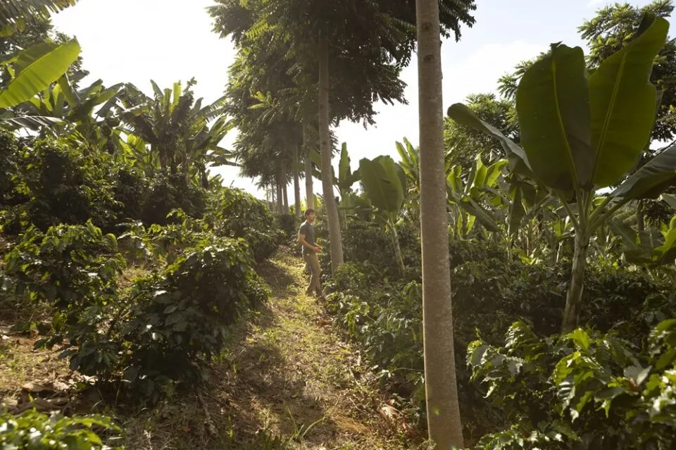 BRK Ambiental tem prejuízo de R$ 24 mi no 4º trimestre