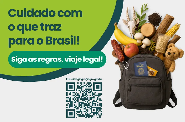 Brasil muda normas para entrada de alimentos e produtos agropecuários na bagagem; confira