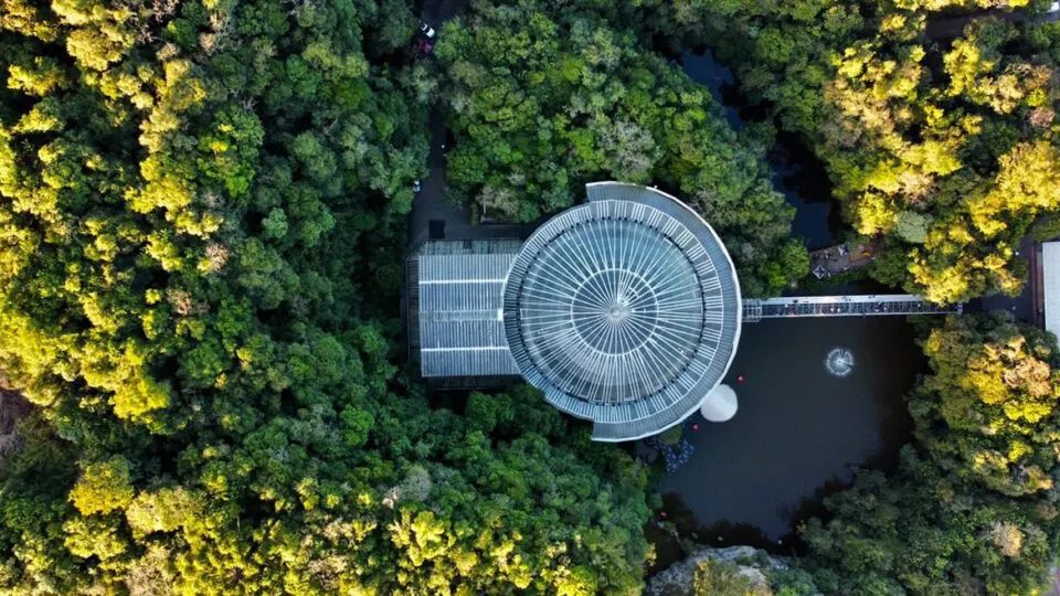 Curitiba aposta em parques, gastronomia e cultura para atrair turistas o ano inteiro