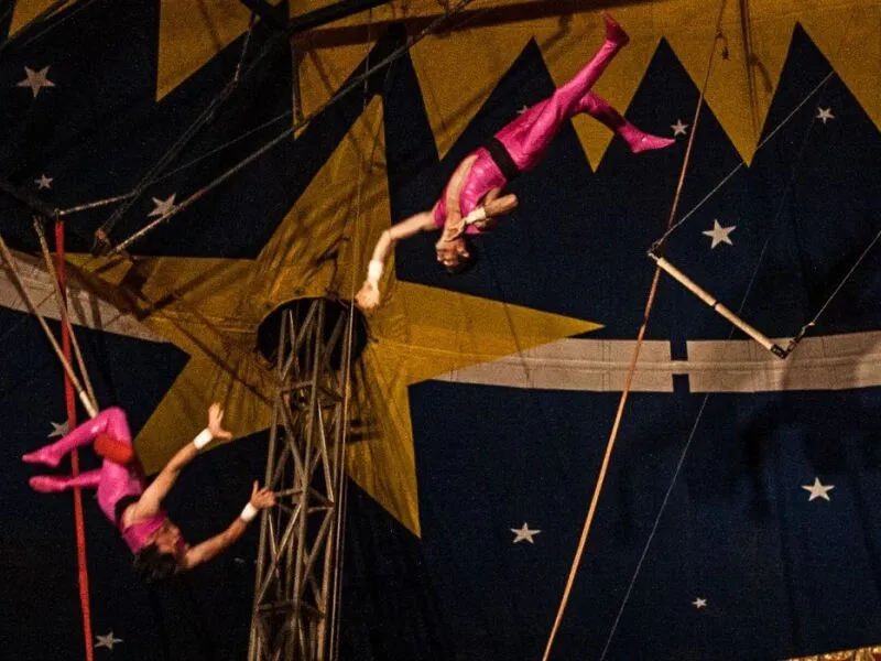 Circo de Tradição Familiar se torna Patrimônio Cultural do Brasil