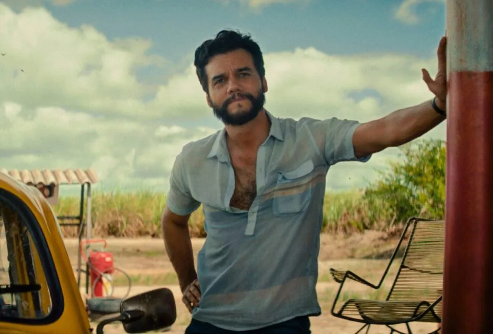 Confira onde assistir aos filmes indicados ao Oscar 2026