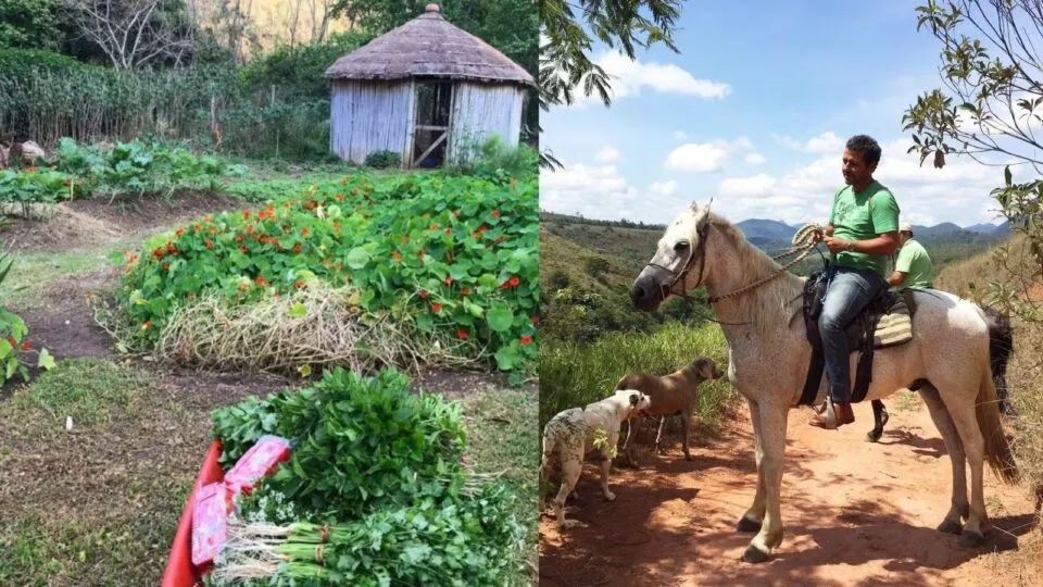 Fazenda de Marcos Palmeira abre as portas para turistas