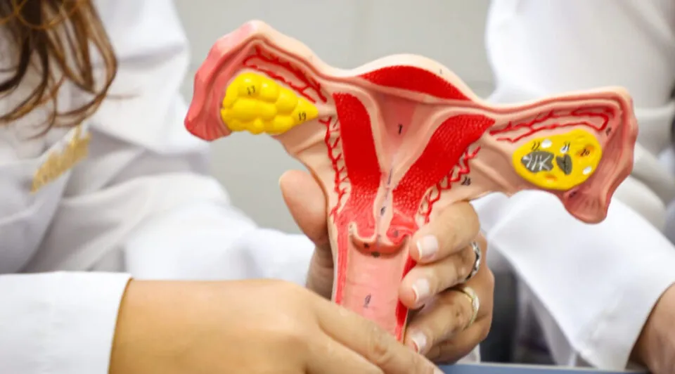 Março Lilás: SES reforça importância da vacina contra HPV e do exame preventivo