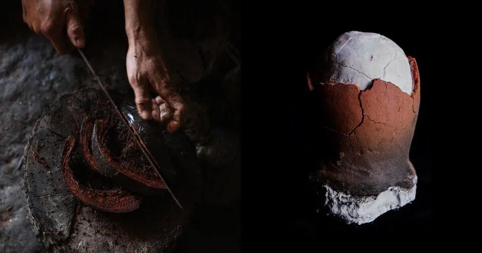 O ovo de dinossauro é um dos sais mais raros do mundo