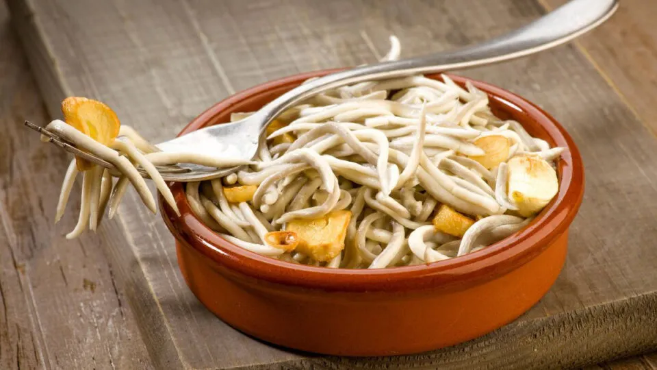 Por que os alevinos de enguias espanholas so to caros?