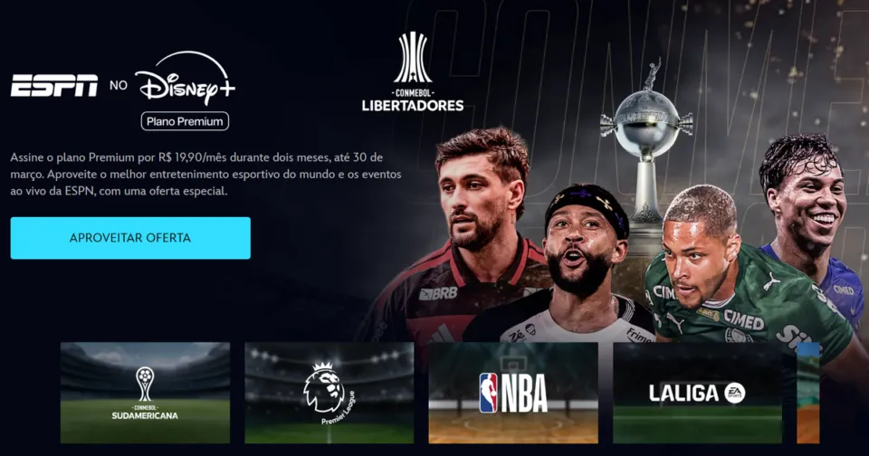 Sabia que o Disney+ exibe os melhores campeonatos esportivos?