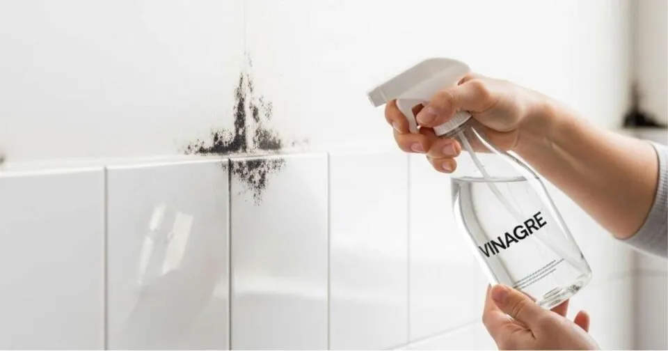 Por que borrifar vinagre nos cantos da casa pode ser uma solução eficaz contra o mofo e umidade?